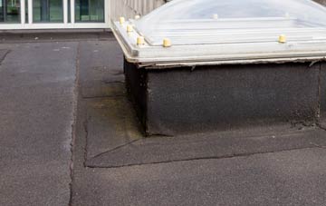 disadvantages of Luthrie flat roofs