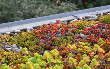 the cost of Luthrie green roof installation