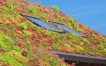 Luthrie living roof systems