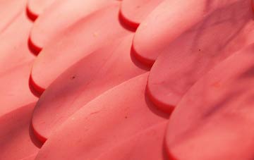 Luthrie plastic roof costs