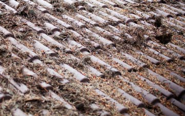 Luthrie roof cleaning companies