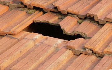 roof repair Luthrie, Fife