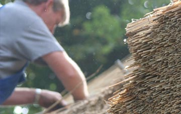 professional Luthrie thatchers