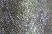 Luthrie fibreglass roof work